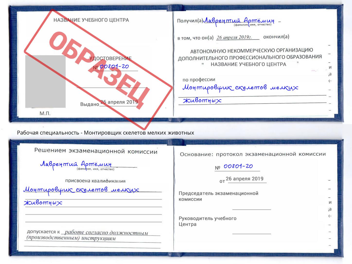 Монтировщик скелетов мелких животных Сергиев Посад