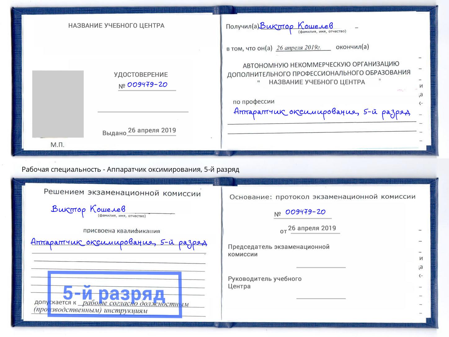 корочка 5-й разряд Аппаратчик оксимирования Сергиев Посад