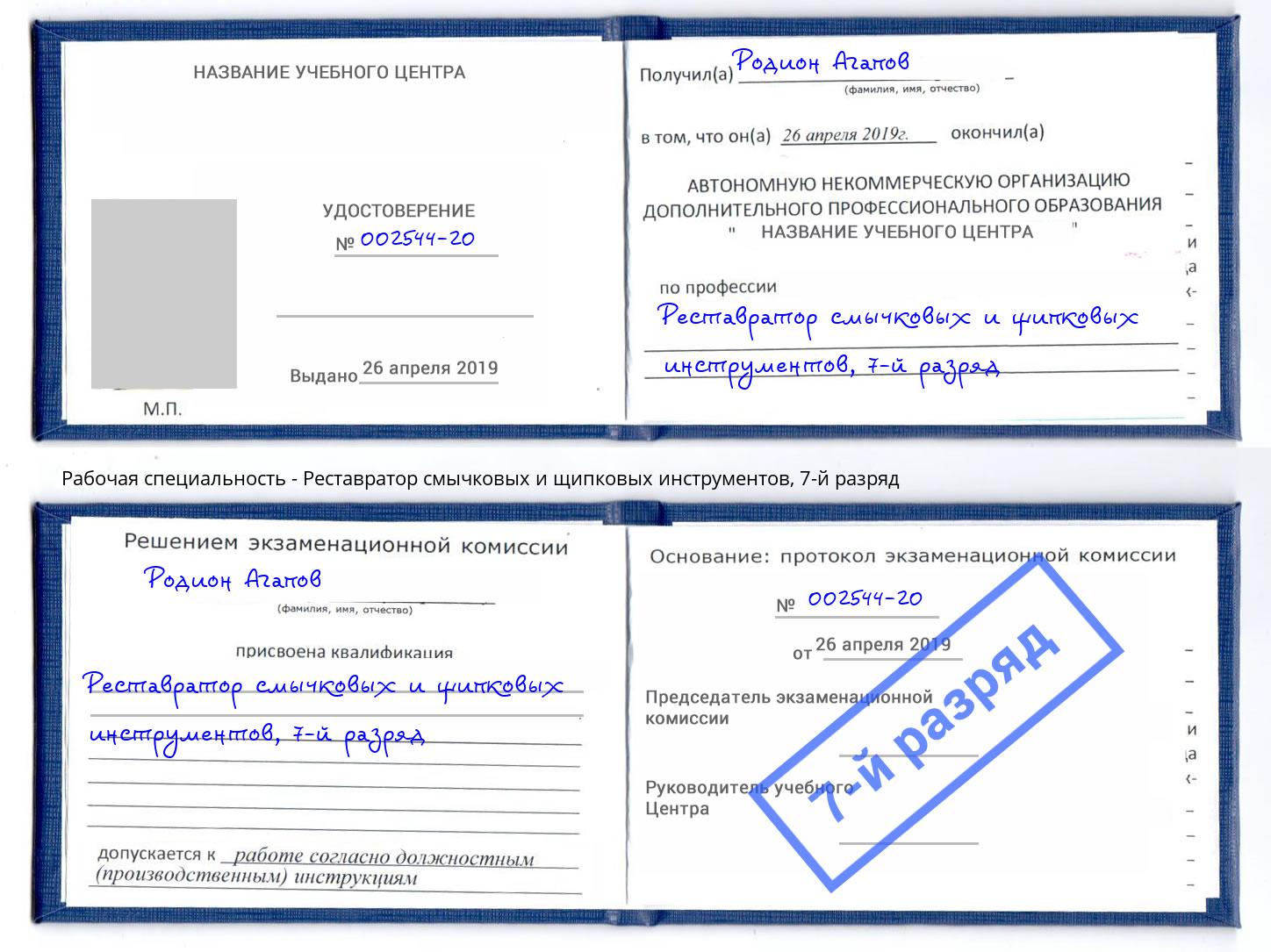 корочка 7-й разряд Реставратор смычковых и щипковых инструментов Сергиев Посад