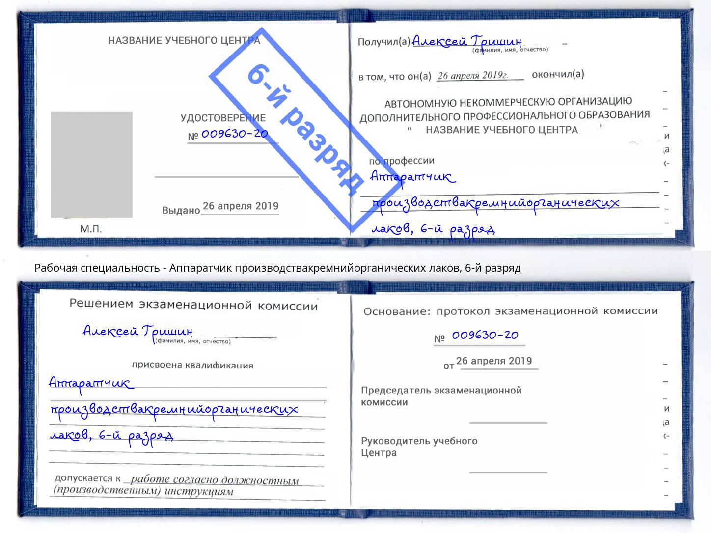 корочка 6-й разряд Аппаратчик производствакремнийорганических лаков Сергиев Посад